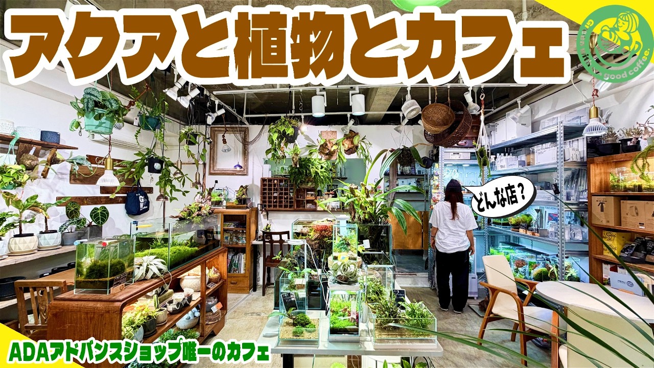 植物とアクアにまみれたカフェに行ってみませんか？（ADAアドバンスショップ唯一のカフェ店舗！グリーンウィズグッドコーヒー）