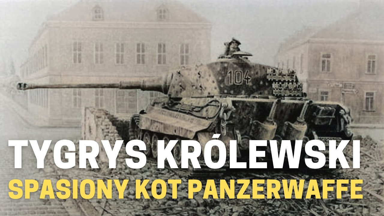 Tygrys Kr&oacute;lewski - spasiony&nbsp;kot Panzerwaffe.