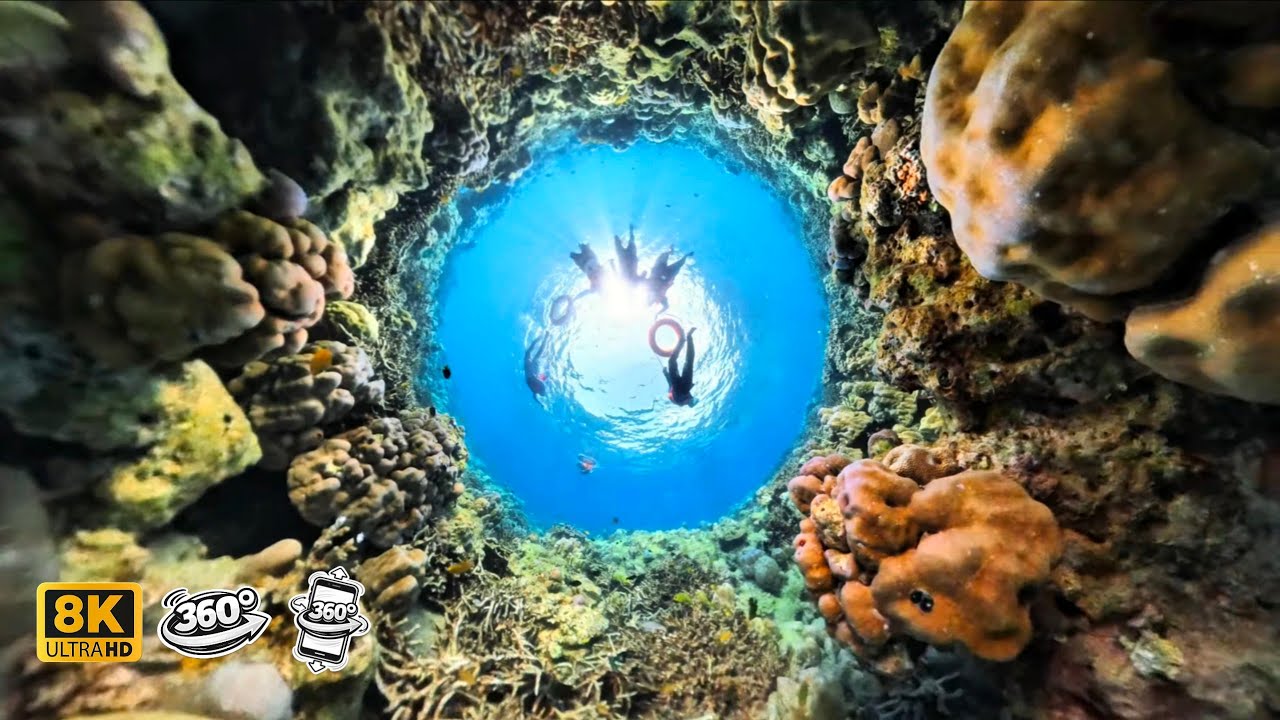 Elephant Beach Havelock - Full Snorkeling Experience in VR 360 Underwater