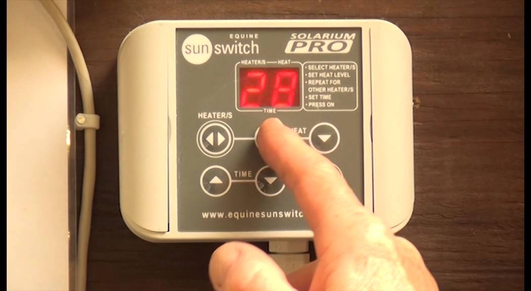 Ascot Equarium® Horse Solarium
