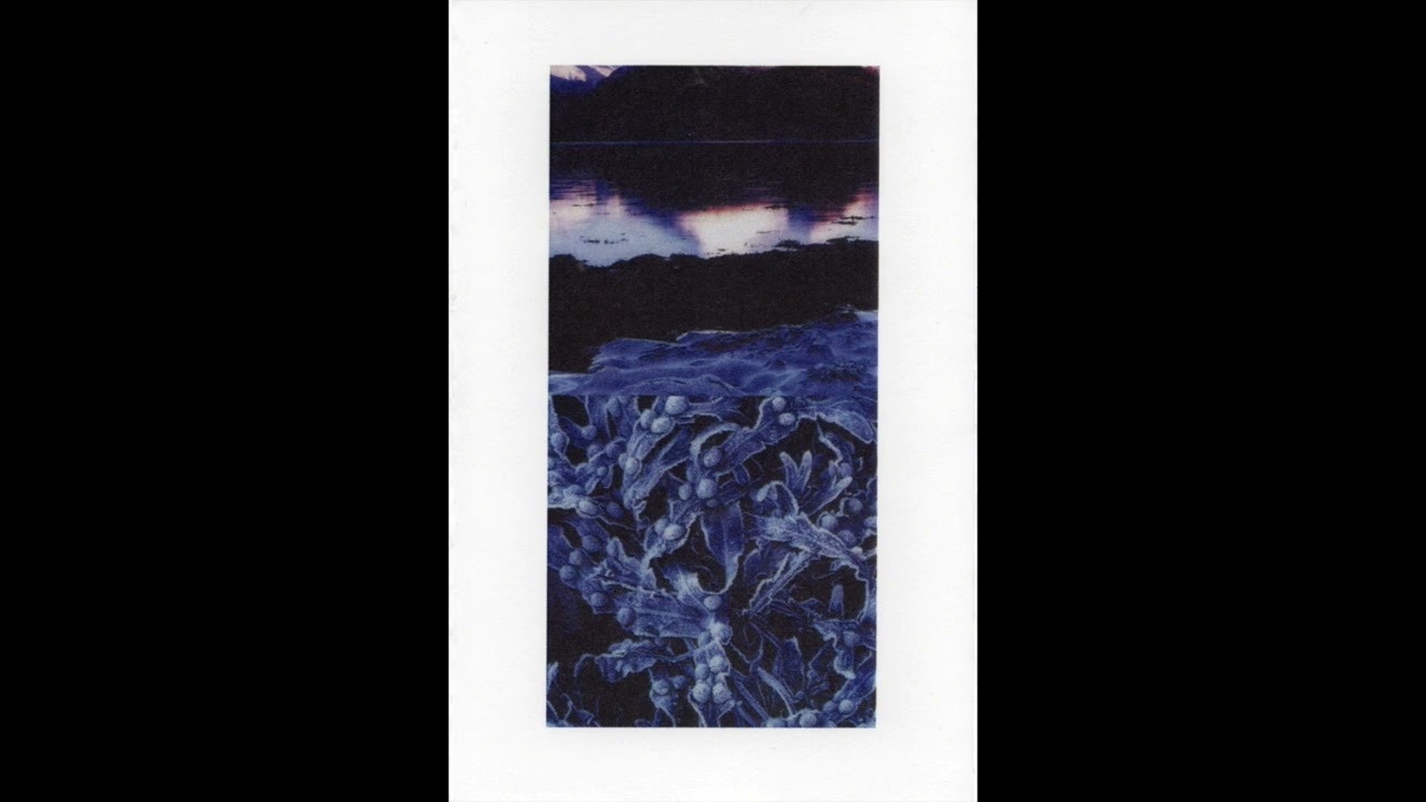 Crystalline Fervour - Perennial [Full Album]
