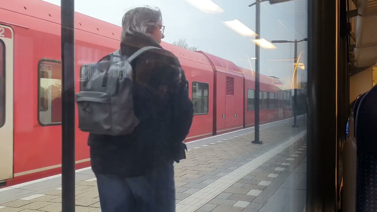 Treinrit Doetinchem-Arnhem Centraal(Arriva GTW Dieseltrein)16 November 2024.