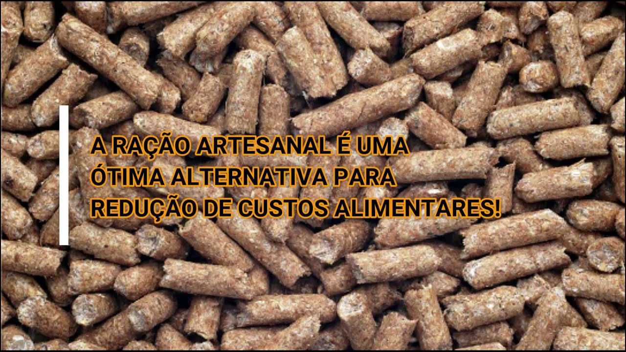 Faça sua própria ração para peixes!