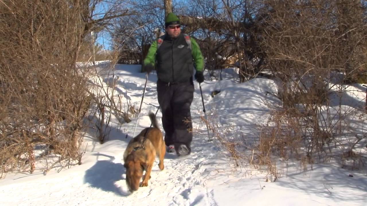 Hiking With Dogs, Part Three -- Health