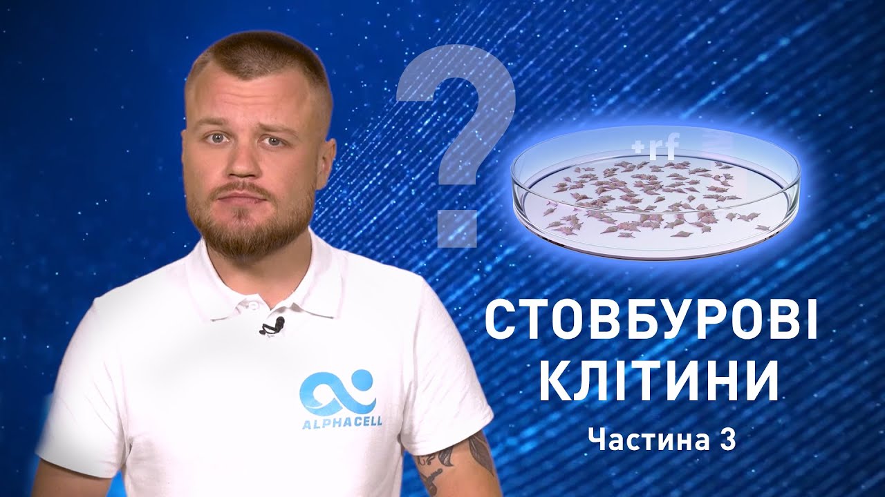 Стовбурові клітини  | Частина 3