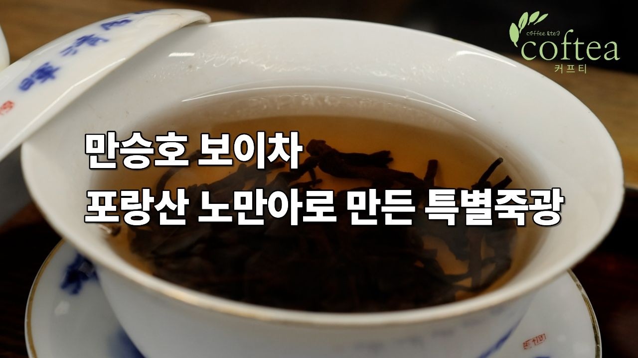 포랑산 노만아 고차수 춘차엽으로 만든 특별죽광