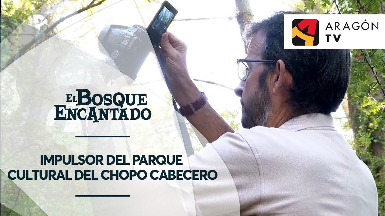 Impulsor del Parque Cultural del Chopo Cabecero | CHOPOS CABECEROS DEL ALTO ALFAMBRA