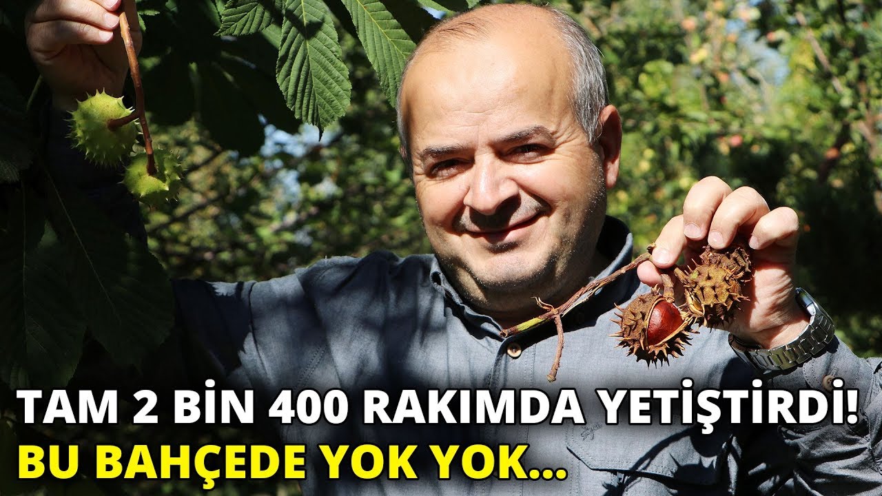 2 bin 400 rakımda 13 çeşit meyve yetiştirdiler