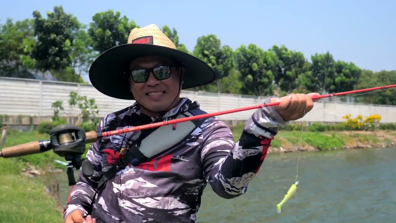 Rapala Classic Vaaksy | ตกปลาช่อนบ่อใจกลางเมือง