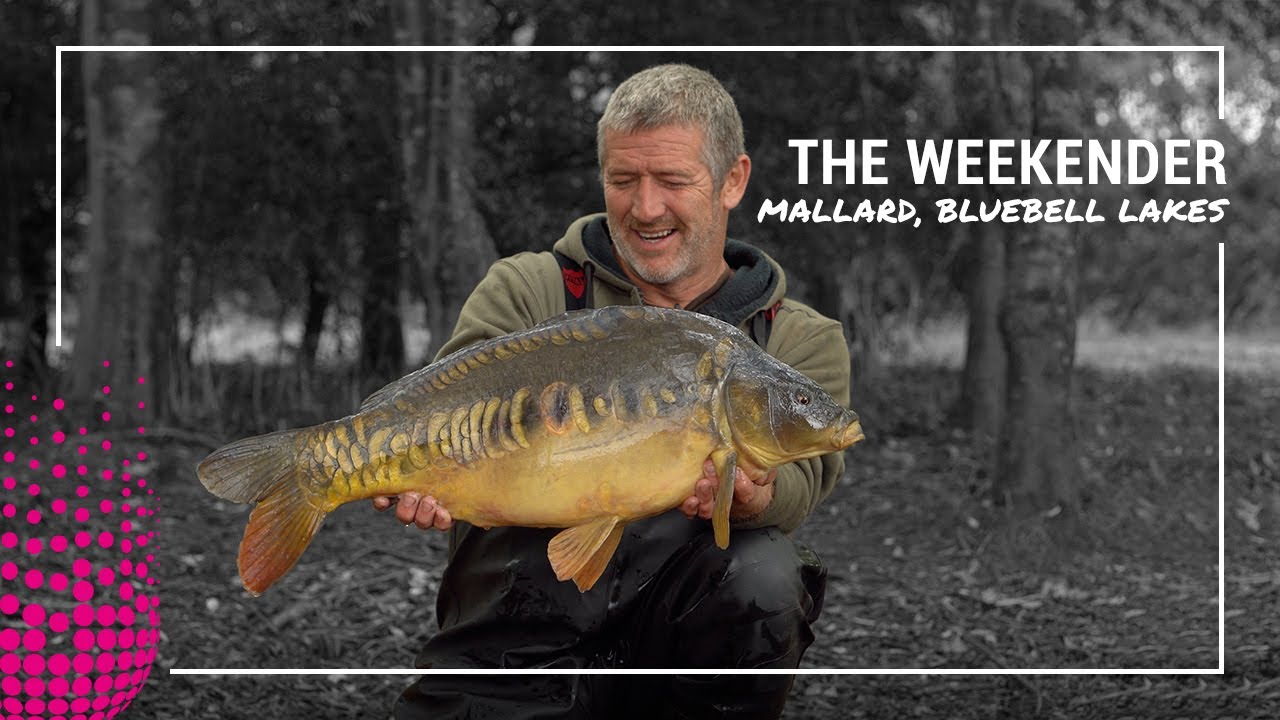 The Weekender | Эпизод третий | Маллард, Блюбелл-Лейкс | Стив Рениард