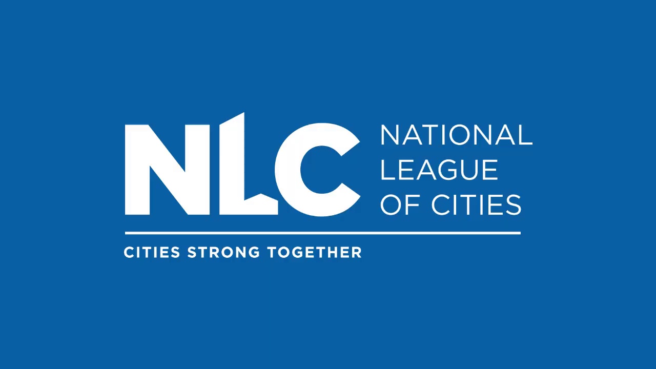Digitizing Local Government Services