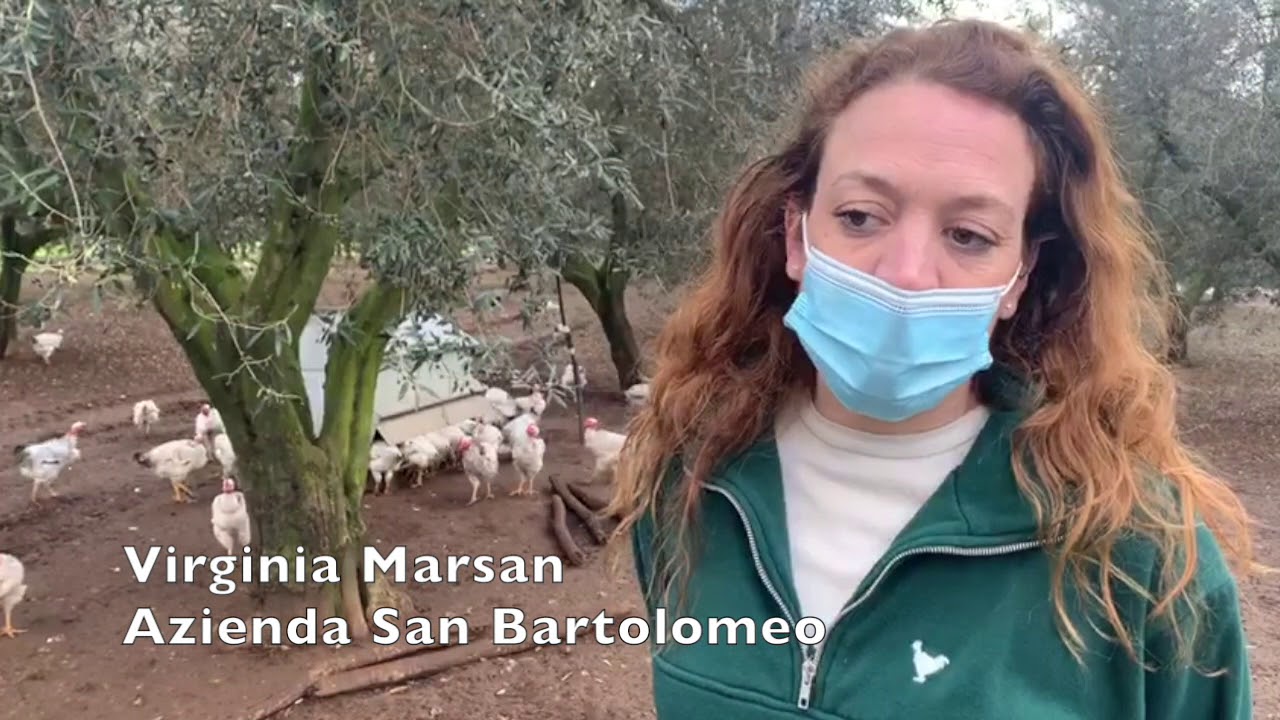 Allevamento in libertà, azienda agricola San Bartolomeo