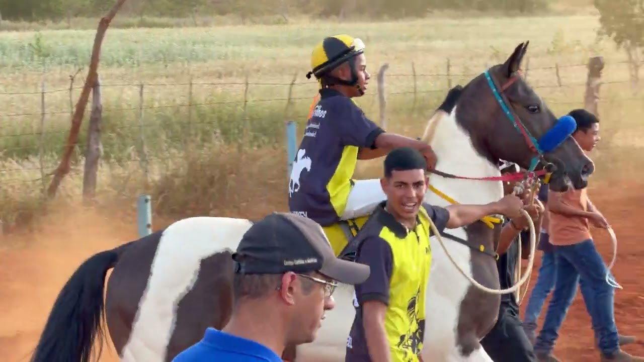 DIAMANTE (Pampa): A Grande Inauguração Do Haras Tamboril! #cavaloscorridasehistorias 