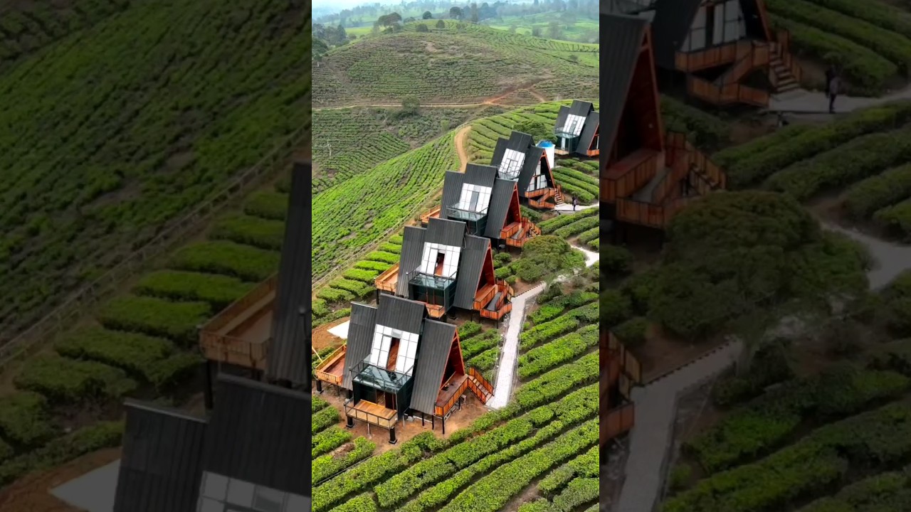 STAYCATION BARU DI PERKEBUNAN TEH BANDUNG