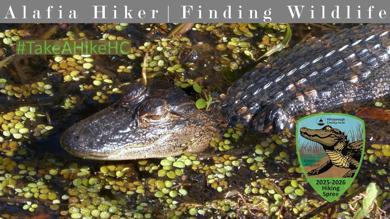 10th Annual Hiking Spree  - Wildlife Highlights