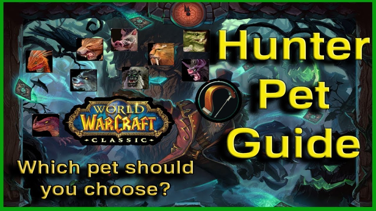 A Guide for Hunter Pets - World of Warcraft Classic