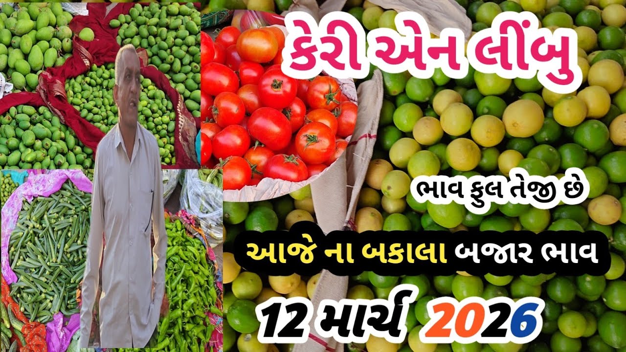 12 March 2026 .કેરી બજાર ભાવ ફુલ તેજી છે | રીંગણ એન લીંબુ 🍋 ભાવ વધારો | તળાજા માર્કેટ યાર્ડ 
