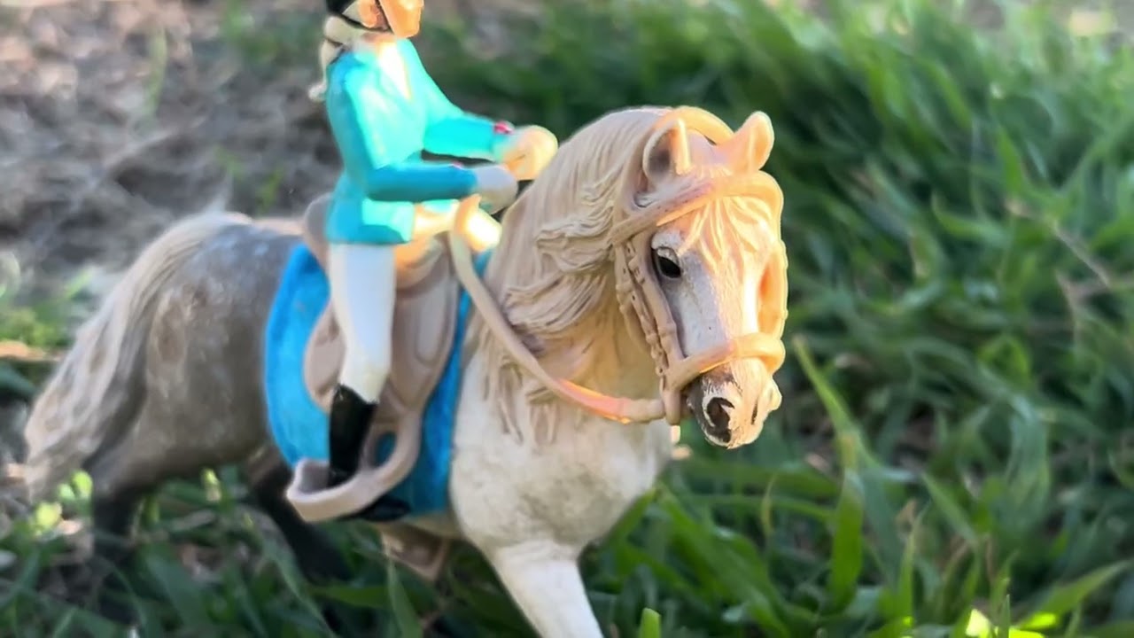 Silver paddock stables episode one ￼￼
