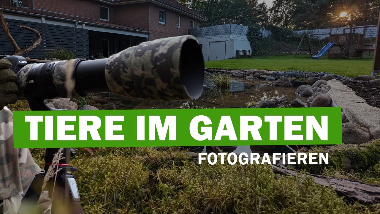 Vögel im Garten fotografieren mit Tarnzelt.
