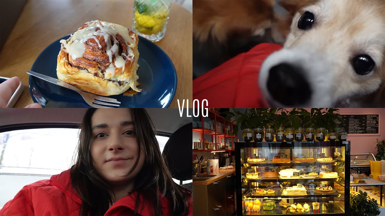 VLOG: Самые Вкусные Cinnabon в Кракове | Шоу Дронов