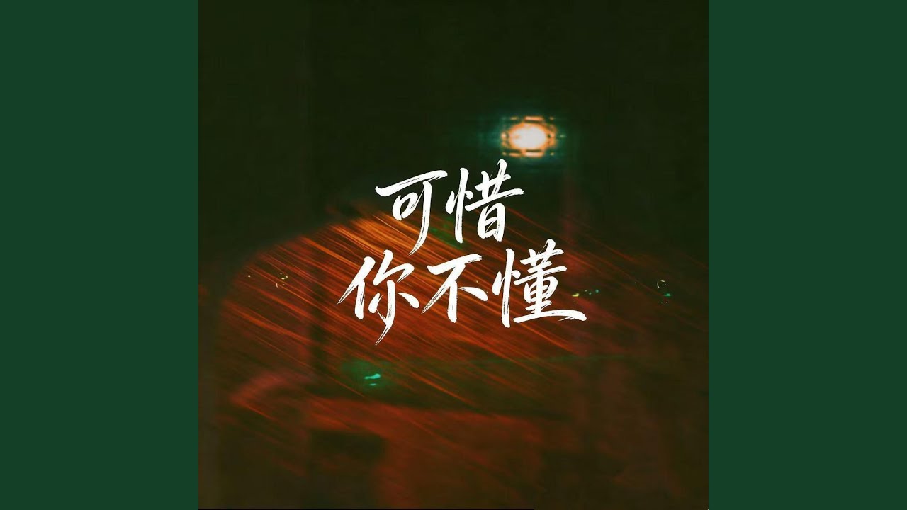 可惜你不懂 (温柔女声抖音热播版)
