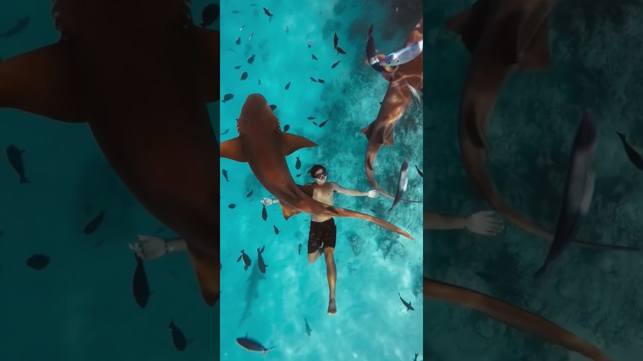 Places in Maldives that don&rsquo;t feel real #travel #explore #adventure #nature #maldives