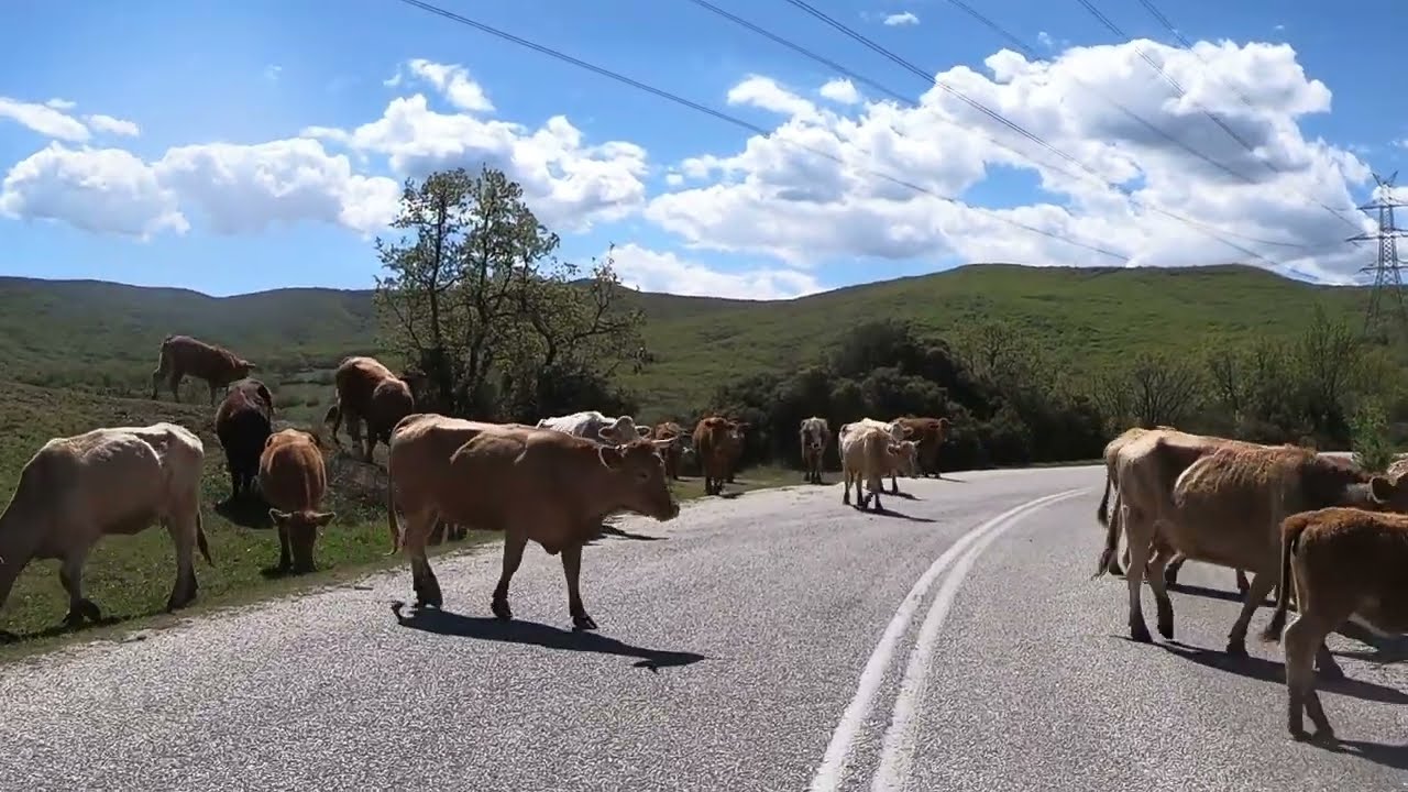 Στήν περιοχή της Αρχαίας Βισαλτίας 5/4/2024. Travelling in Greece