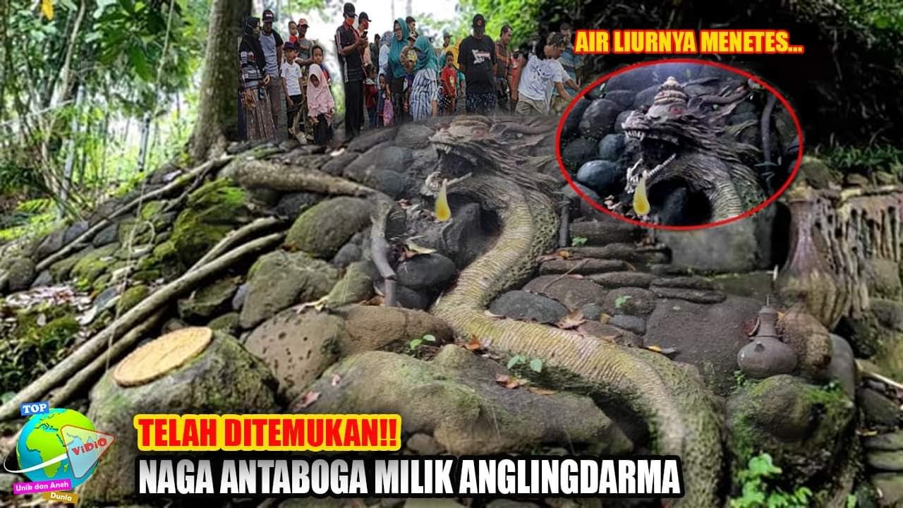 Penemuan Ular Naga Milik Angling Dharma di  Trawas!! Lengkap Dengan Mahkota Peninggalan Majapahit...