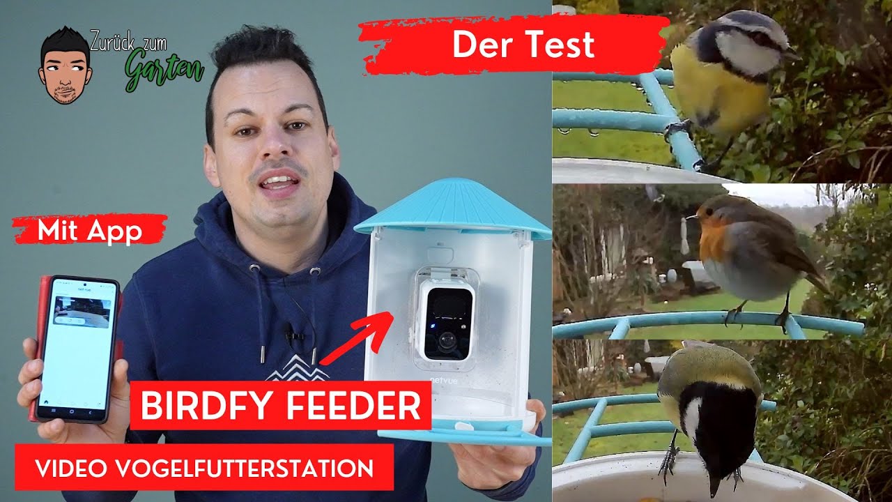 Tolle Vogelaufnahmen 📷Vogelfutterstation mit Wlan live Kamera - Im Test der Birdfy Feeder von Netvue