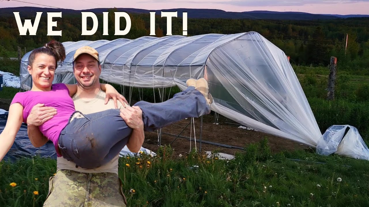 DIY Season Extension Growing Tunnel build from tempo structure found in garbage | Homestead Upgrade