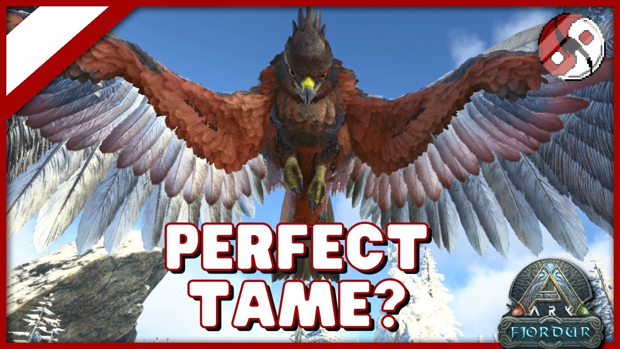 Fjordhawk Perfect Tame Is It Possible Fjordhawk Favored Food Ark Fjordur