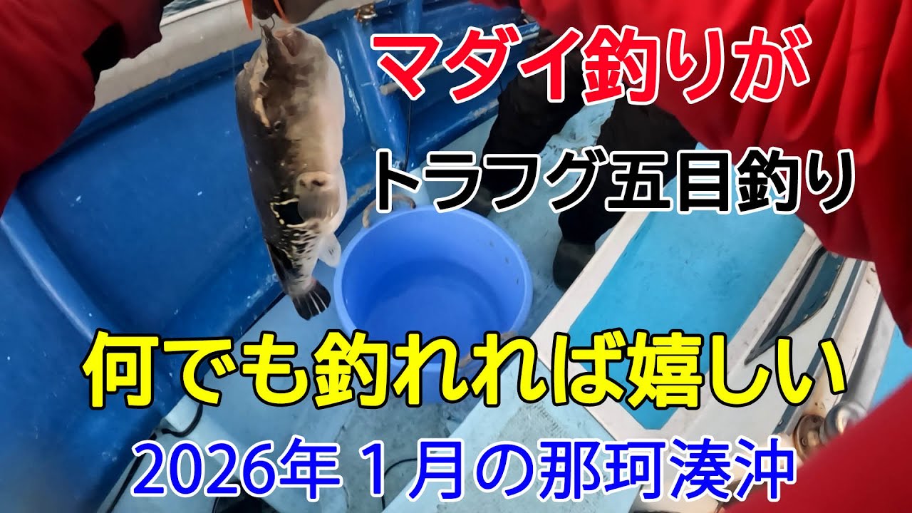 2026年1月の那珂湊沖・・五目釣り（トラフグ→ホウボウ→マハタ）