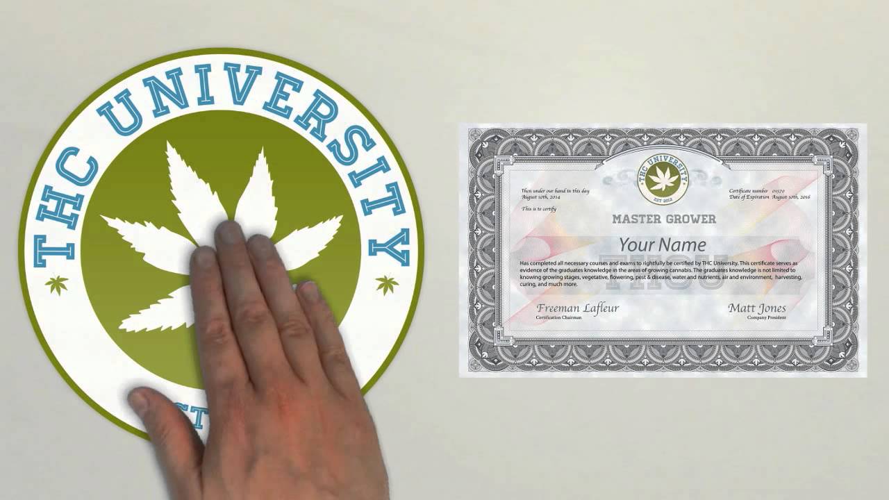 THC University How It Works For You