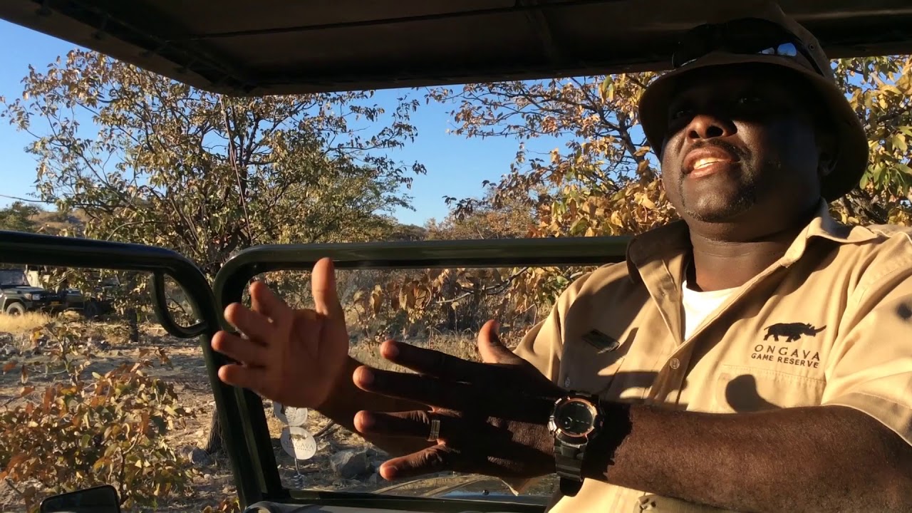 Ongava Lodge