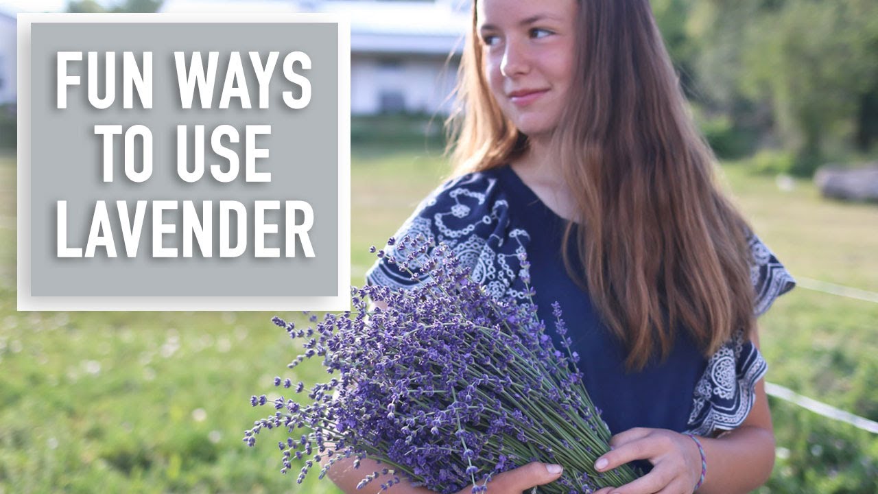 How to Use Dried Lavender