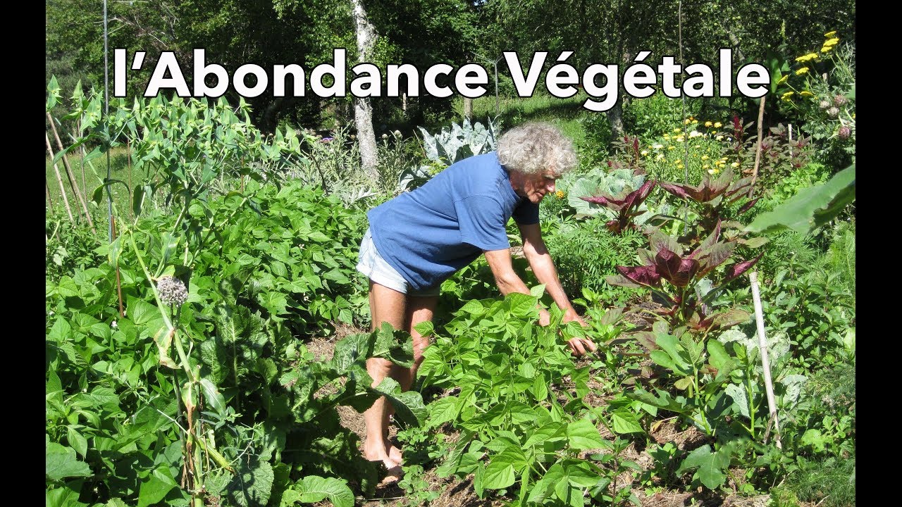 l'Abondance Végétale (selon Philip Forrer) - culture sur buttes