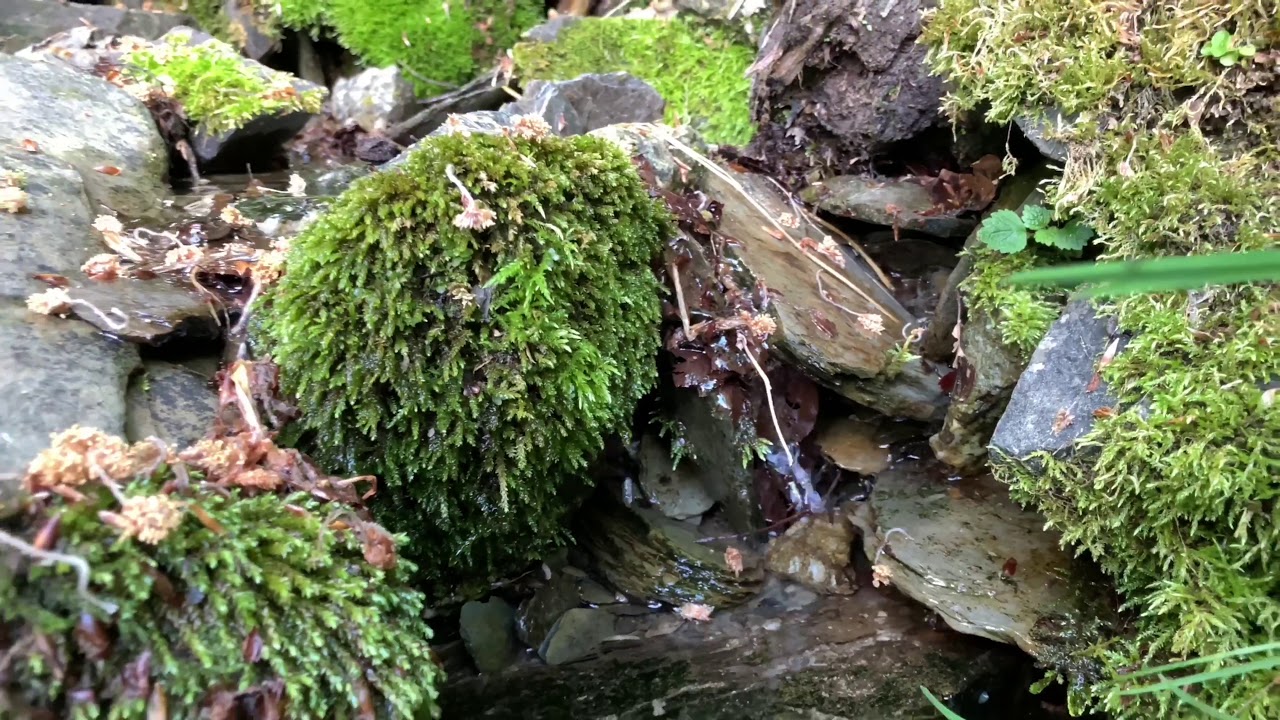 Wasserfall 