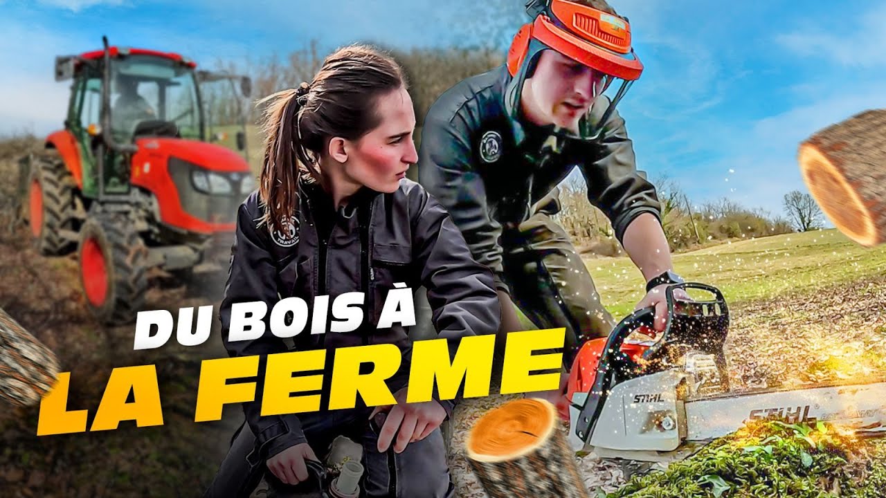 BOIS ET NETTOYAGE A LA FERME !