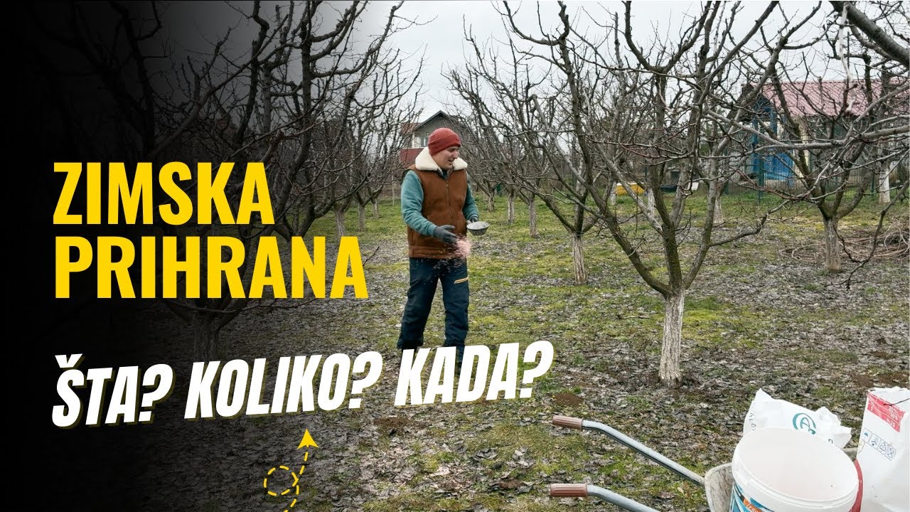 Zimska prihrana voćaka – šta, koliko i kada?
