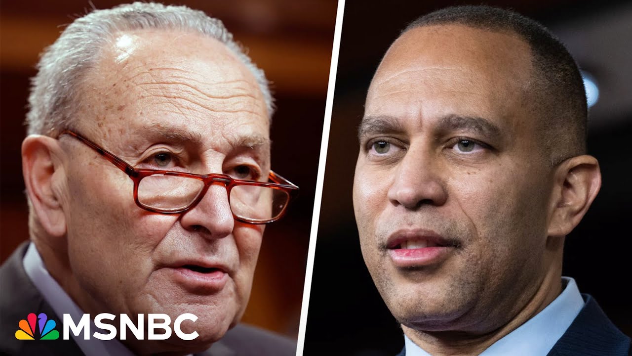 'Fight, damn it!': How the Democrats' divide will determine the path ahead to fight Trump's policy