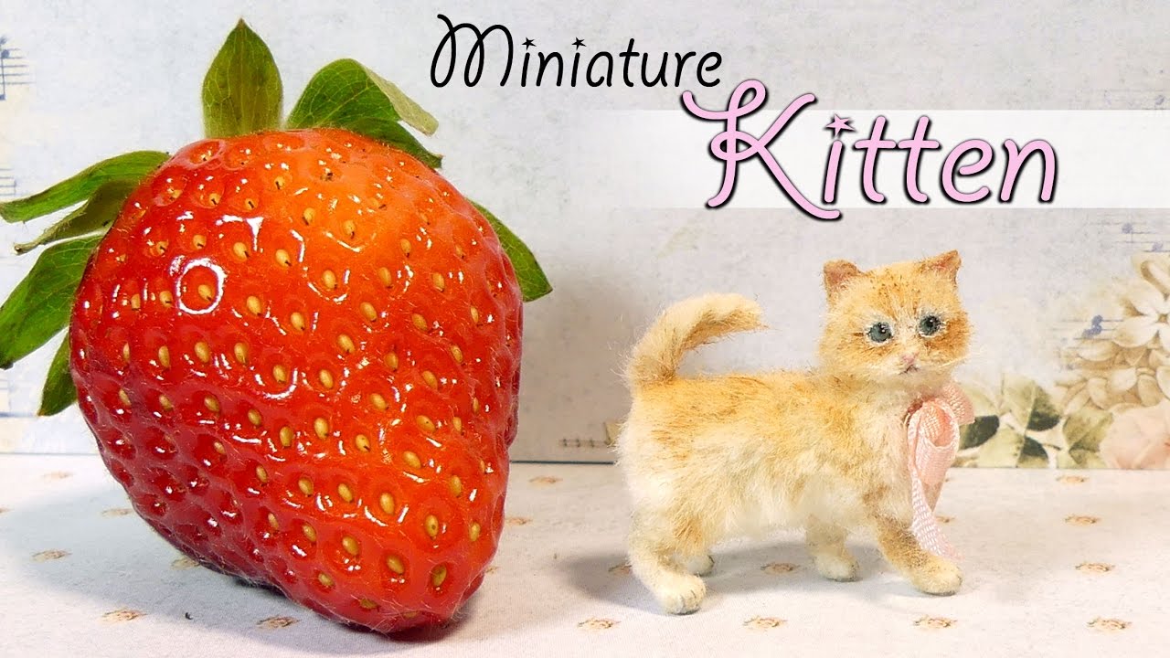 Miniature Kitten Tutorial // DIY Miniature Cat Dolls/Dollhouse