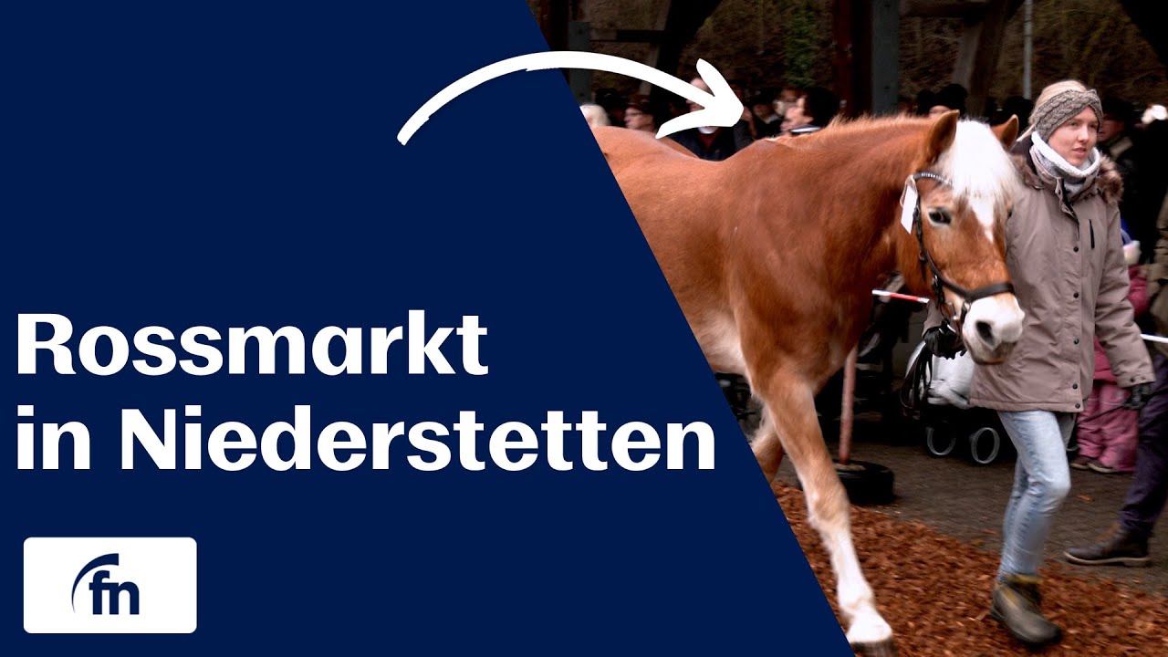 Rossmarkt in Niederstetten