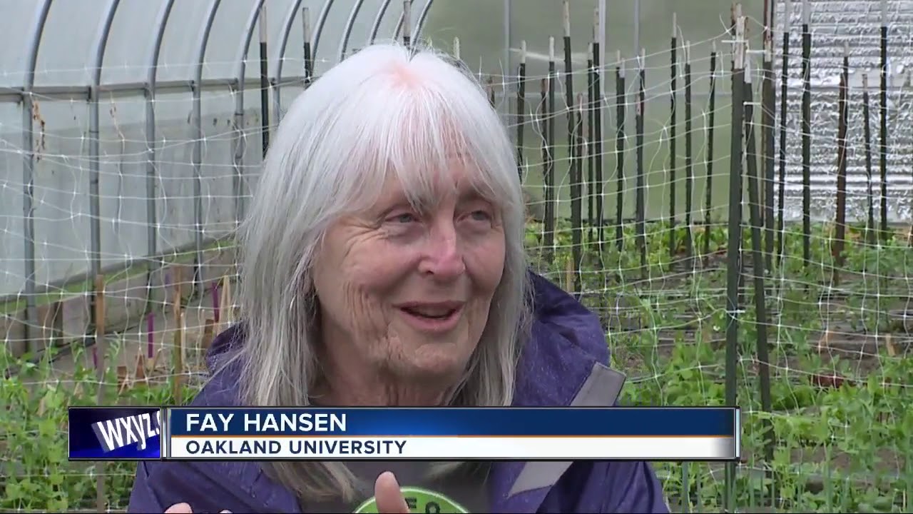 Can a chemical in Roundup weed killer cause cancer? Man plans to sue after diagnosis