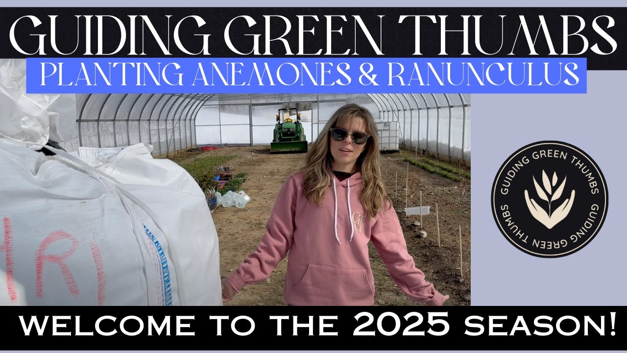 WELCOME TO THE 2025 SEASON / PLANTING RANUNCULUS & ANEMONES / 2O25 CALENDAR AND EVENTS
