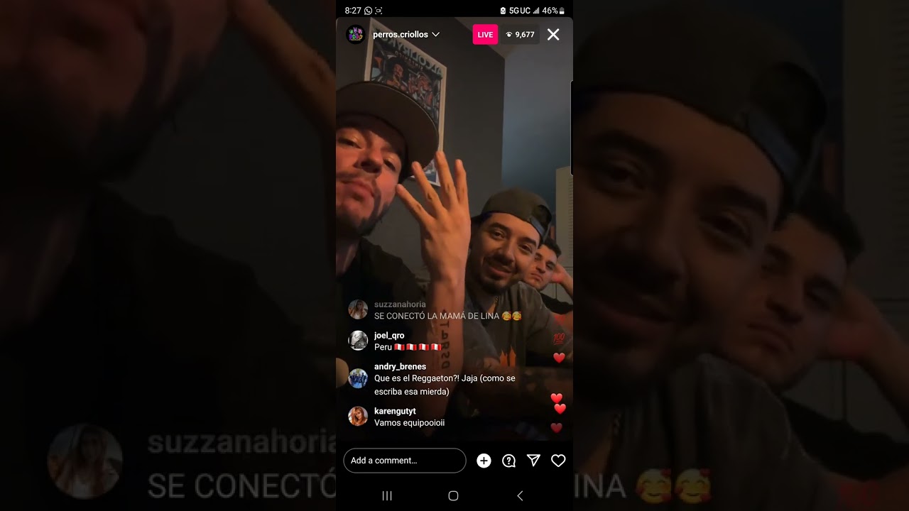 anuncio! lokillo , el de las fotos y juan pablo ( perros criollos )