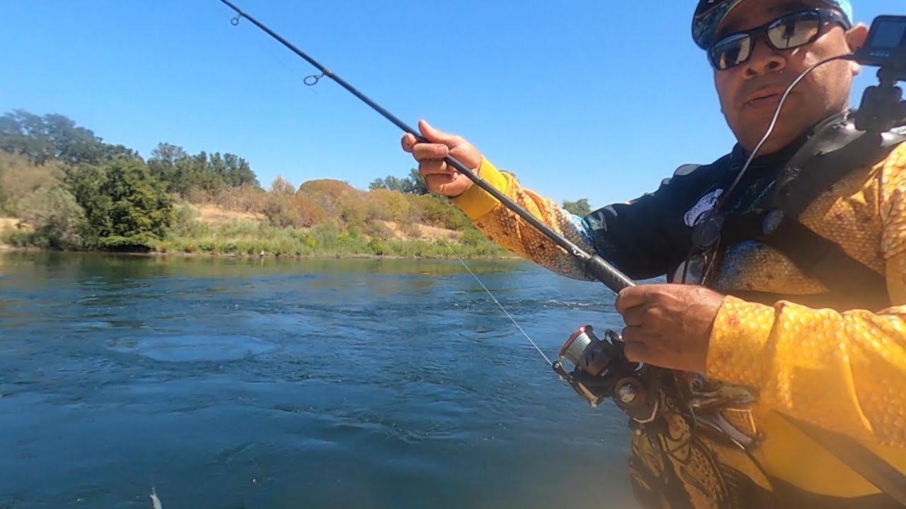 American river salmon fishing spots