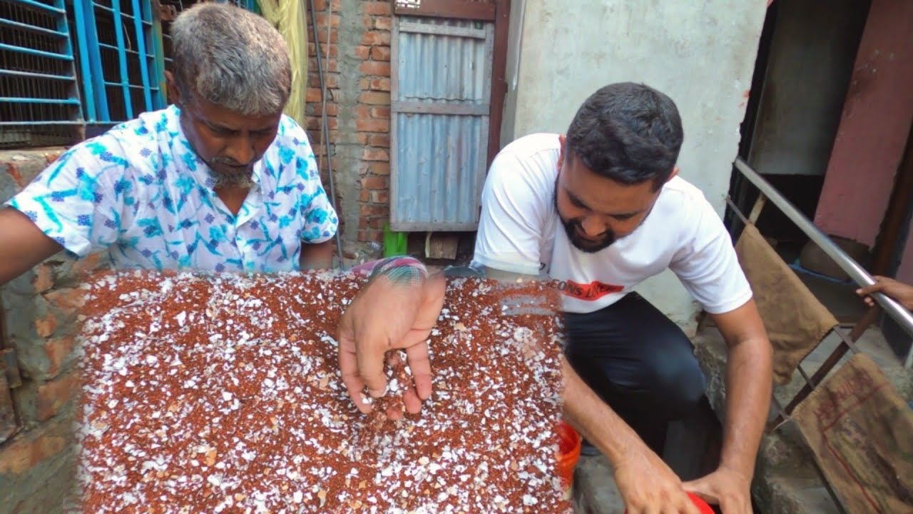 কাকার বানানো গ্রিট কবুতরকে খাওয়ানোর জন্য নিতে আসছি