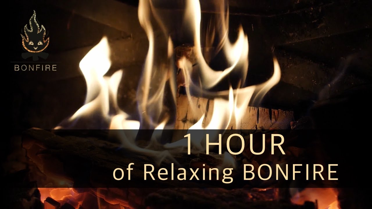 1 HOUR of Relaxing Bonfire Sounds - Crackling Fireplace (NO MUSIC) 4K video