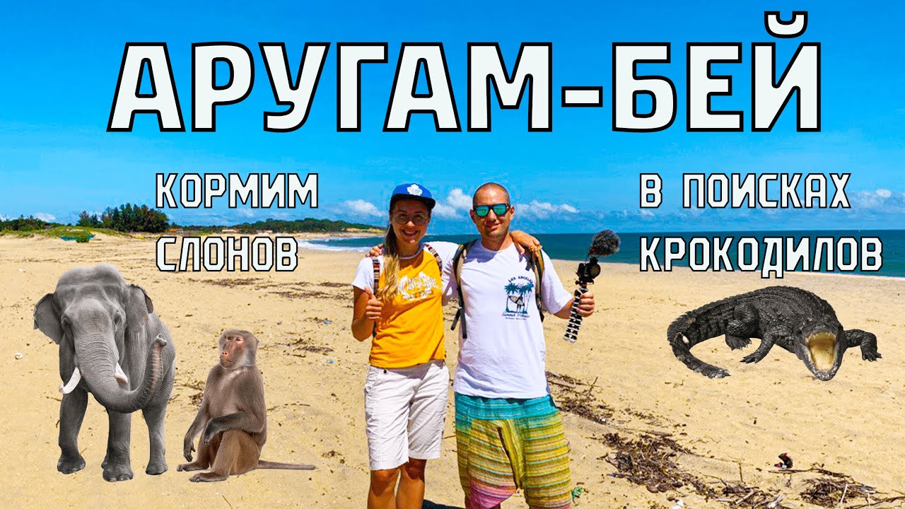 АРУГАМ-БЕЙ. Национальный парк КУМАНА. Ищем КРОКОДИЛОВ. Кормим СЛОНОВ. Мнение об АРУГАМЕ. #шриланка
