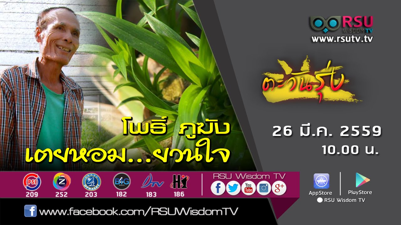 ตะวันรุ่ง : 